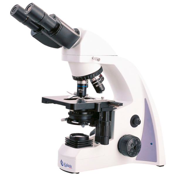 Laboratory Microscope YR0237