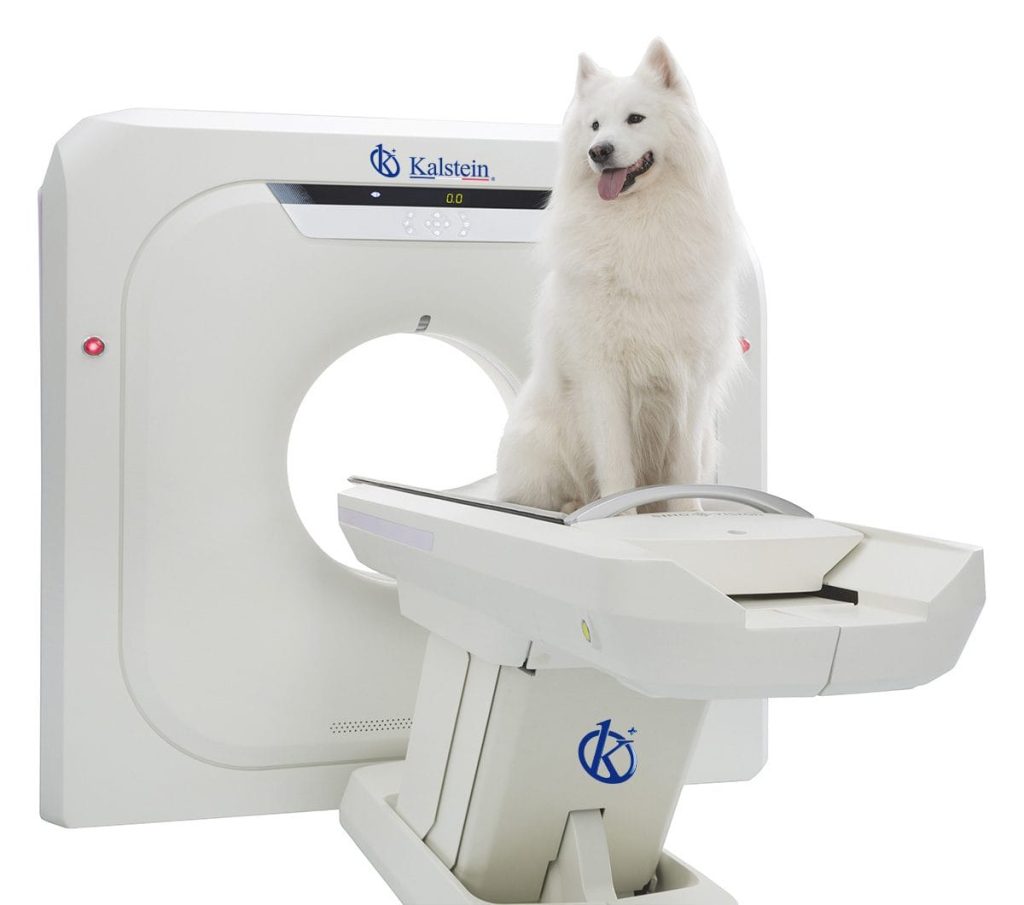 Veterinary MRI - Yul Gary