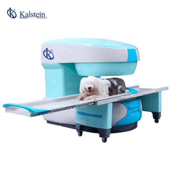 Veterinary MRI System YR06167