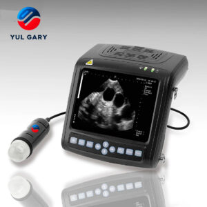 Wrist Veterinary Ultrasound YG1152