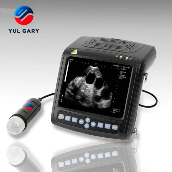 Wrist Veterinary Ultrasound YG1152