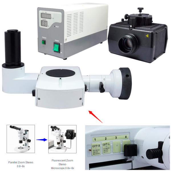 Zoom Stereo Microscope YG0660 // YG0662 - Image 6