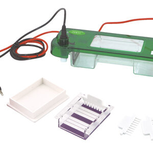 Horizontal Electrophoresis Cell YG1564