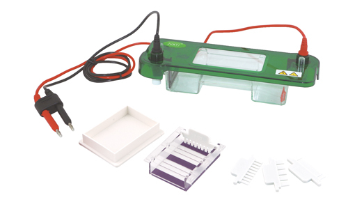 Horizontal Electrophoresis Cell YGA1564