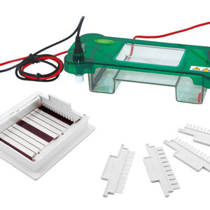 Horizontal Electrophoresis YG1565
