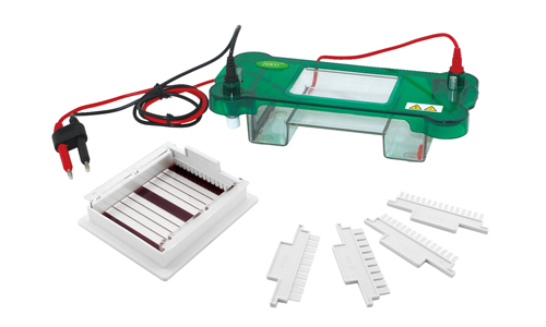 Horizontal Electrophoresis YGA1565