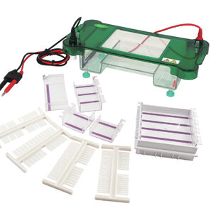 Horizontal Electrophoresis YG1566