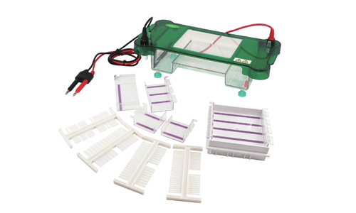 Horizontal Electrophoresis YGA1566