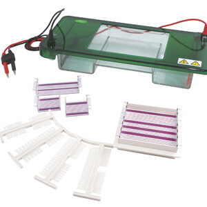 Horizontal Electrophoresis YG1568