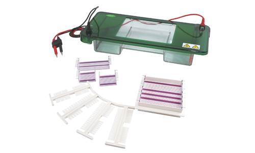 Horizontal Electrophoresis YGA1567