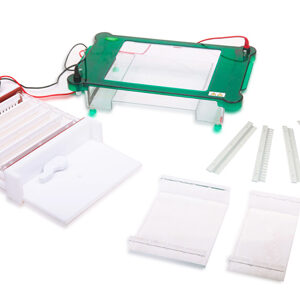 Horizontal Electrophoresis YG1569