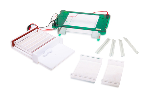 Horizontal Electrophoresis YGA1569
