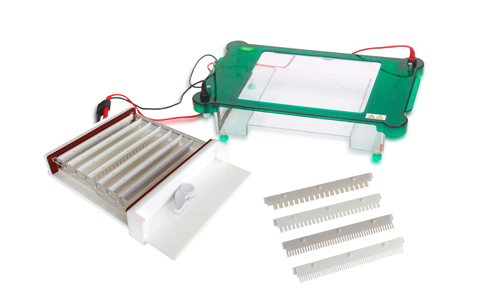 Horizontal Electrophoresis YGA1570