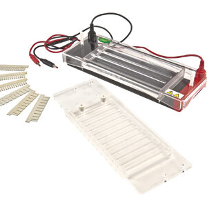 Horizontal Electrophoresis YG1571