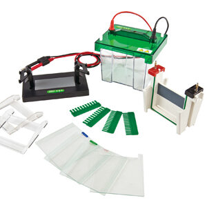 Mini-Protean Vertical Electrophoresis Cell YG1574