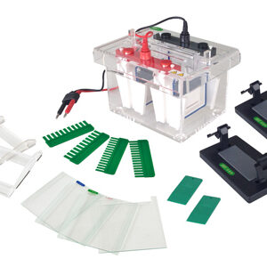 Mini-Protean Vertical Electrophoresis Cell YG1575