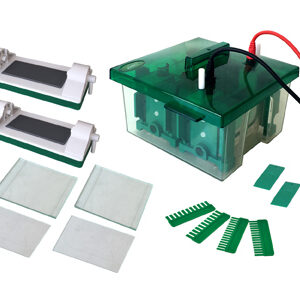 Mini-Protean Vertical Electrophoresis Cell YG1576