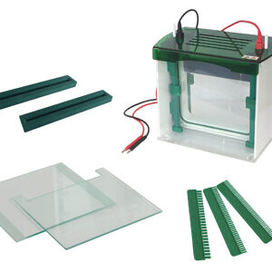 Vertical Gel Electrophoresis Cell YG1578