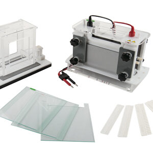 Vertical Electrophoresis Tank YG1581