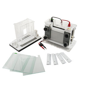 Vertical Electrophoresis Tank YG1582