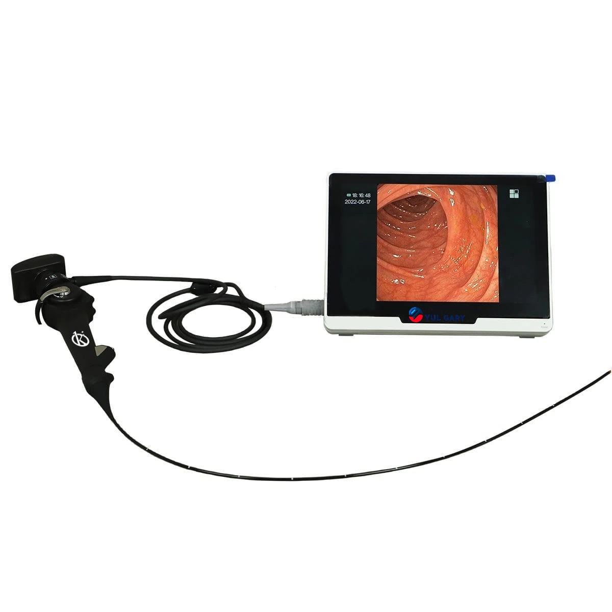 Portable Veterinary Video Endoscope YG1857//YG1861